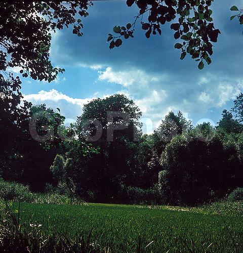 6�6, ������, ������� ����, ���������, ����������, ��������, �������, ������