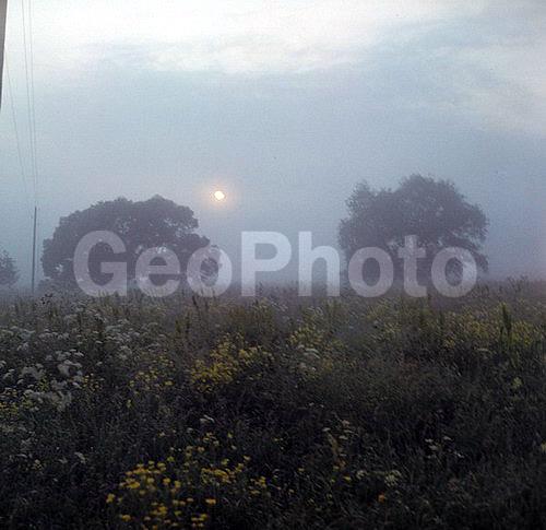 6�6, ������, ������� ����, ���������, ����������, ��������, �������, ������