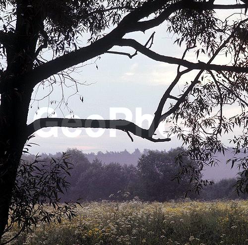 6�6, ������, ������� ����, ���������, ����������, ��������, �������, ������