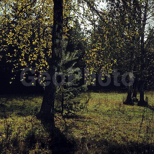 6�6, ������, ������� ����, ���������, ����������, ��������, �������, ������