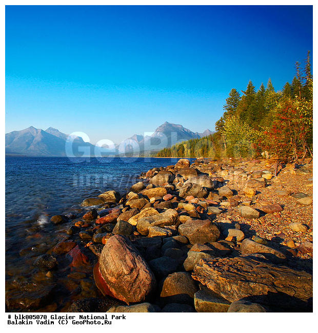 �������, �������, ���� ��������, ���, �������� �������, �����, ������, ����, ����, �����, ������, �����, �����, ������