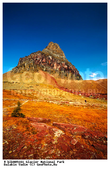 �������, �������, ���� ��������, ���, �������� ������� , �������� ��������� ����, ����, ����, �������� ���������, ��������, ������, �����, �����, �����