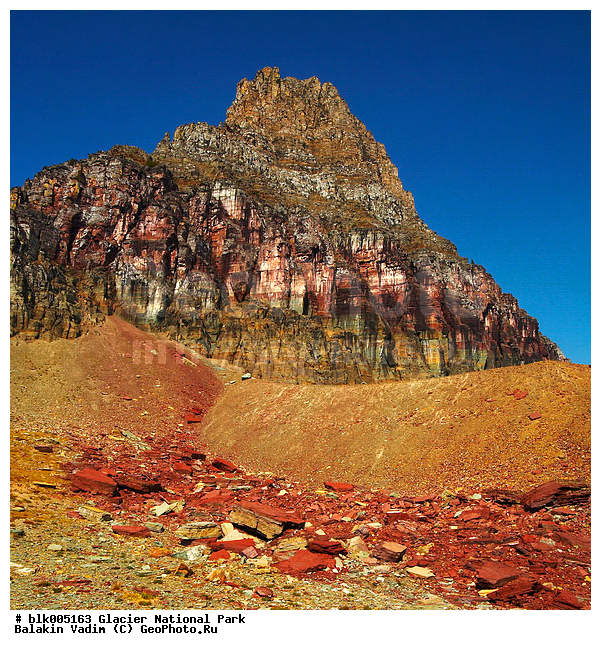 �������, �������, ���� ��������, ���, �������� �������, ����, ����, ������, �����