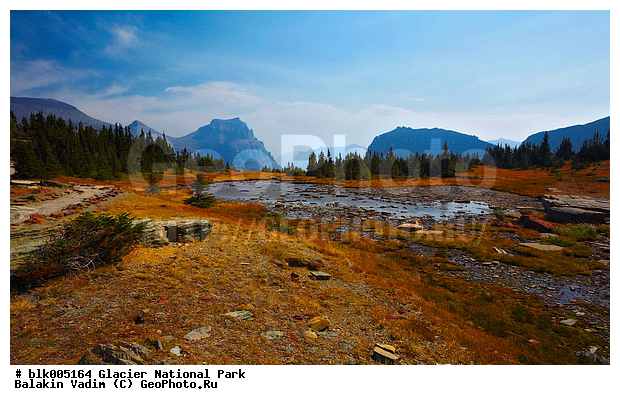 �������, �������, ���� ��������, ���, �������� �������, ����, ����, ������, ������, �����, ������, �����, ����, ������, �������, ��������