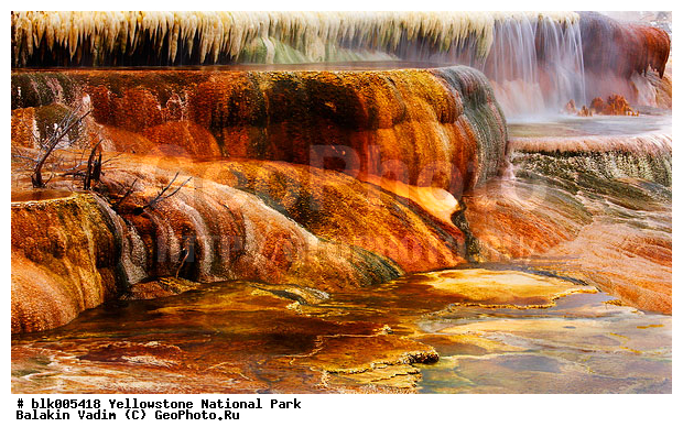 ������, �������, ��������, �����������, ��������������� ������������ ����, �������, ���, �������� �������, �������� ���������, ��������, ������, �������, ����