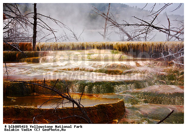 ������, �������, ��������, �����������, ��������������� ������������ ����, �������, ���, �������� �������, �������, ����