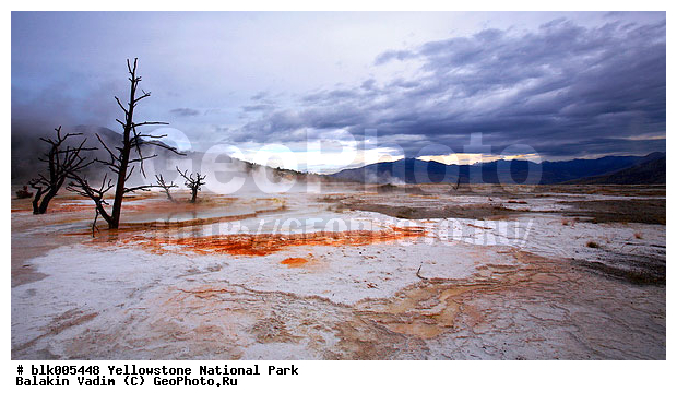 ������, �������, ��������, �����������, ��������������� ������������ ����, ������� ������, ��������� ������� ���������, �������, ���, �������� �������, ������������� ��������, ������, ��������, ��������, ������ ������, �������, ����, �������