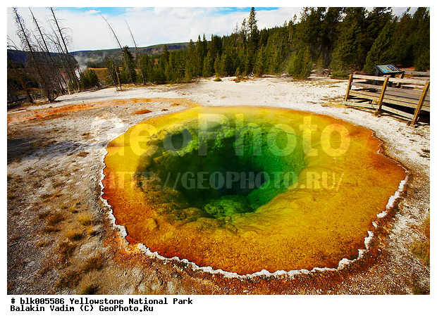 ������, �������, ��������, �������� ������, �����������, ��������������� ������������ ����, �������, ���, �������� �������, ������������� ��������, ��������, ��������, �������, ����