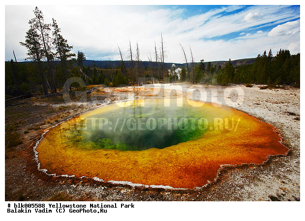 ������, �������, ��������, �������� ������, �����������, ��������������� ������������ ����, �������, ���, �������� �������, ������������� ��������, ��������, ��������, �������, ����