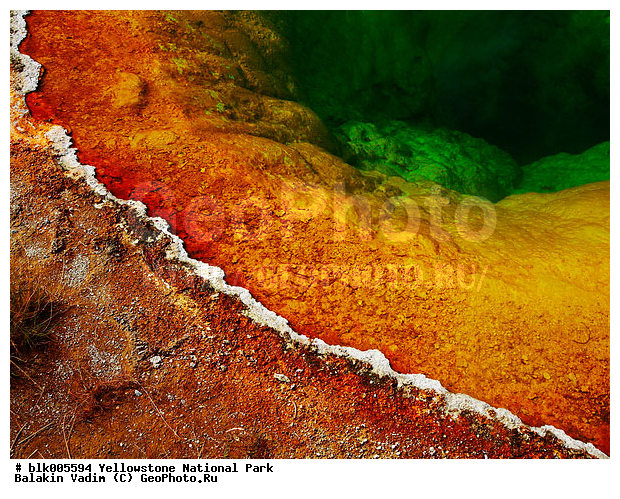 ������, �������, ��������, �������� ������, �����������, ��������������� ������������ ����, �������, ���, �������� �������, ������������� ��������, ��������, ��������, �������, ����