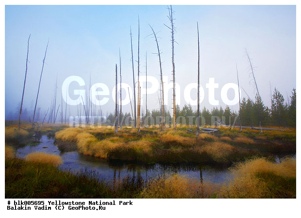 ������, �������, ��������, �����������, ��������������� ������������ ����, �������, ���, �������� �������, �������, ����