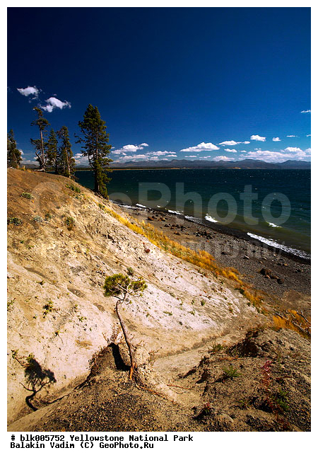 ������, �������, ��������, �����������, ��������������� ������������ ����, �������, ���, �������� �������, �������, ����