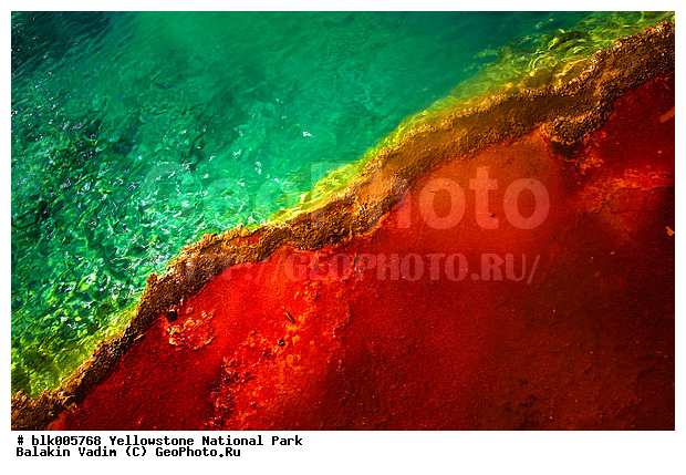 ������, �������, ��������, �����������, ��������������� ������������ ����, �������, ���, �������� �������, �������, ����