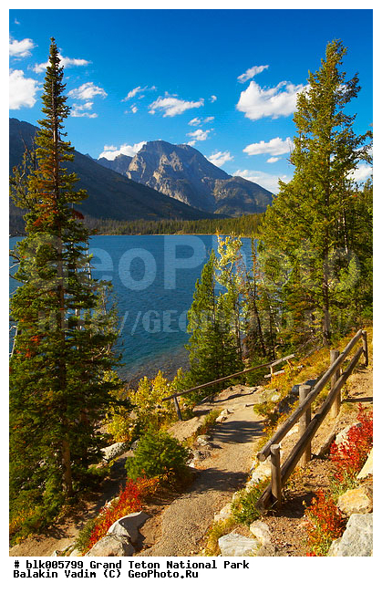 �������, ��������, ����� �����, ����� ����� ������������ ����, ���, �������� �������, ��������� �����, ������������� ����, ����, ����, ������, ���, ������������ ����, ����, ������, �����, ����� ������, �����, ����, ����