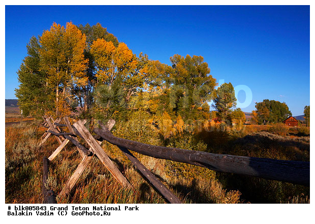 �������, ��������, ����� �����, ����� ����� ������������ ����, ���, �������� �������, �����, ������������ ����, ������� ������, �����, ����