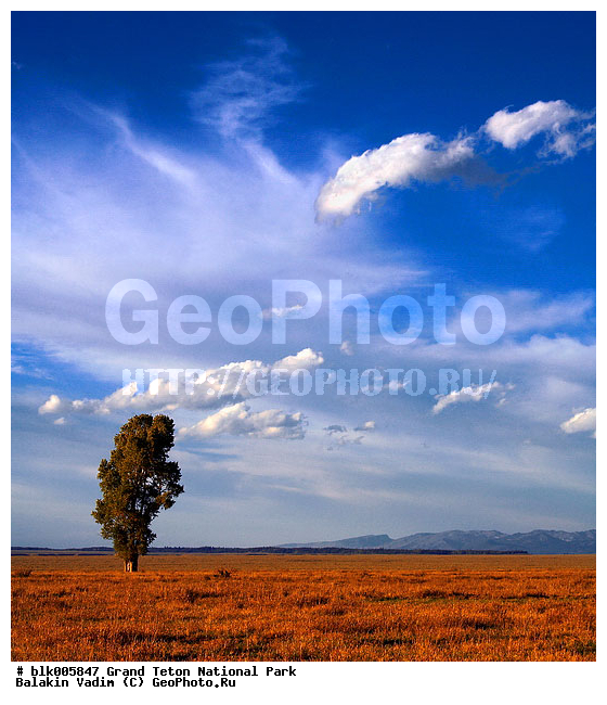 �������, ��������, ����� �����, ����� ����� ������������ ����, ���, �������� �������, �����, ������, ������������ ����, ����, ������, �������� ������, �����������, �����, ����