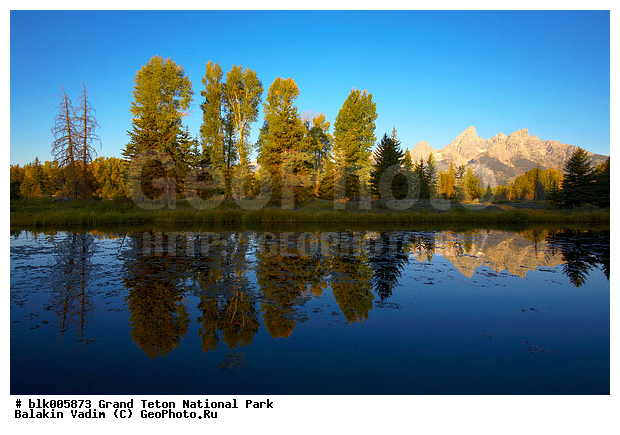 �������, ��������, ����� �����, ����� ����� ������������ ����, ���, �������� �������, ����, ������������ ����, �����, ���������, ����, ����, �����