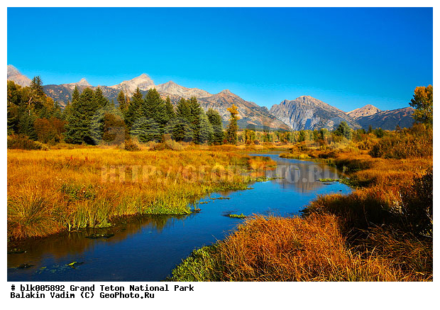 �������, ��������, ����� �����, ����� ����� ������������ ����, ���, �������� �������, ����, ����, ���, ������������ ����, �����, ����, ����, �����