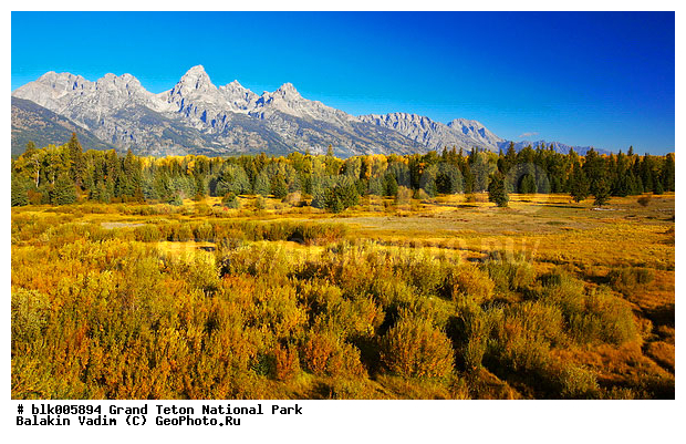 �������, ��������, ����� �����, ����� ����� ������������ ����, ���, �������� �������, ����, ����, ���, ������������ ����, �����, ����