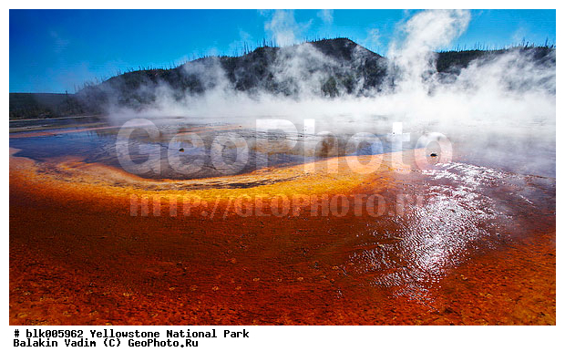 ������, �������, ������� �������������� ��������, ��������, �����������, ��������������� ������������ ����, �������, ���, �������� �������, ������������� ��������, ��������, ��������, �������, ���, ����, ���������