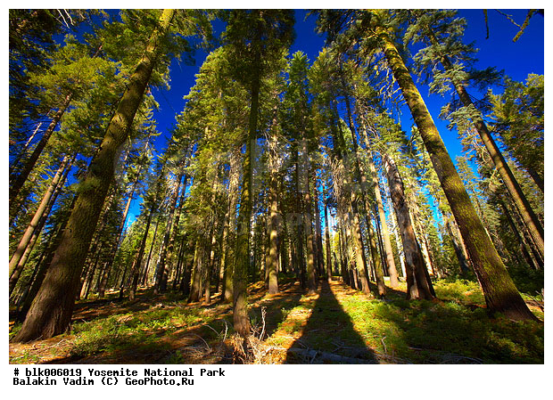 �������, ��������, ����������, ������������ ����, ���, �������� �������, ������, ���, �������, ����, ����, �������, ����