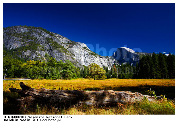 �������, ��������, ����������, ������������ ����, ���, �������� �������, ����, ���� ���������, ����, ������, ���, �������, ����, ����, ��������� ������