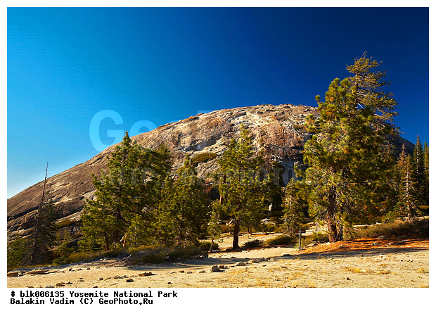 �������, ��������, ����������, ������������ ����, ���, �������� �������, ����, ����, �������, ����