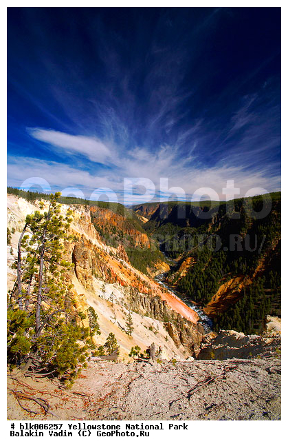 ������, �������, ��������, �����������, ��������������� ������������ ����, �������, ���, �������� �������, �������, ����