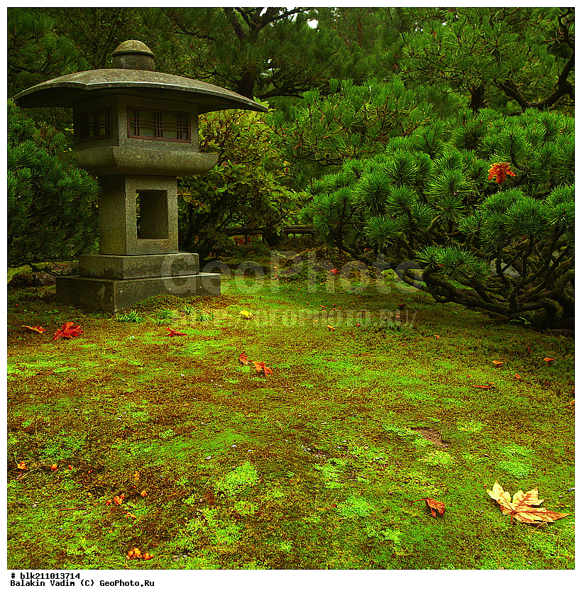 ������, ��������, ���, �������� ���, ����, ����������� ������, ����, ������� ����, �����