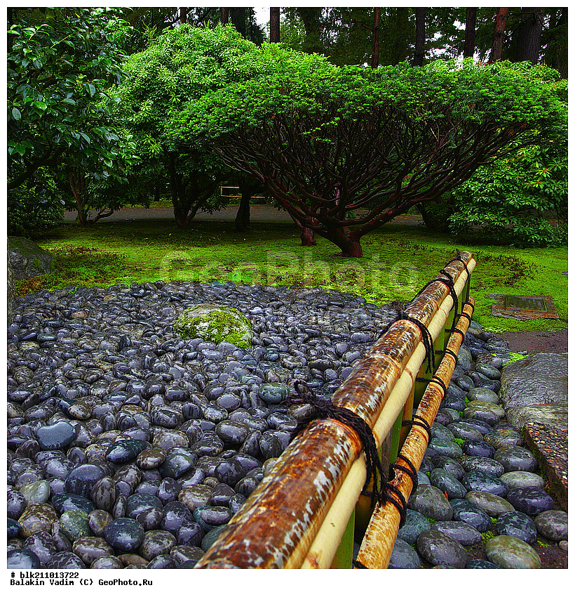 ������, ��������, ���, �������� ���, ���������� �����, ����, �����, �����, ���������, ����������� ������