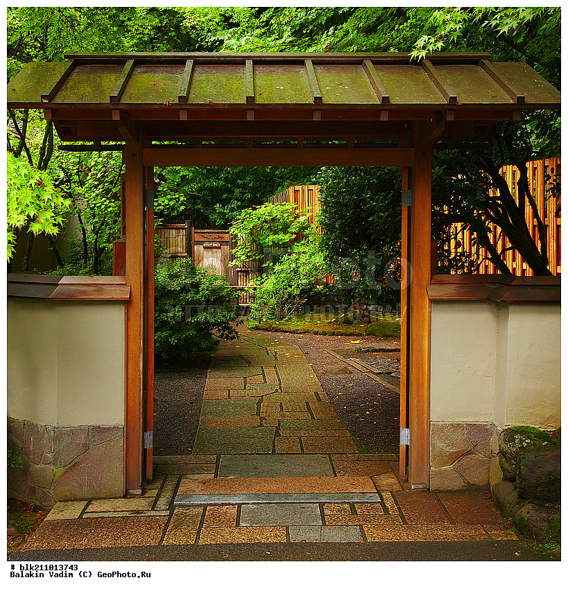 ������, ��������, ���, �������� ���, ������, ����