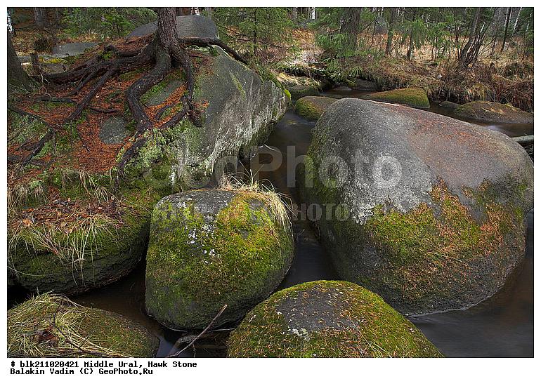 ���� �������, ��������� ������, ������� ����, ����, ���������, �������� ����, �����, ���, ��� �� ������, ����� ����, �����