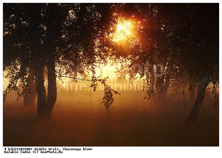 ������� ����. ���� �������, ����, ����, ����, ������, �����, ����