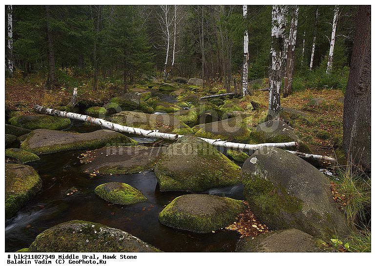 ���� �������, ��������� ������, ������� ����, ����, ���������, �������� ����, �����, ���, ��� �� ������, ����� ����, �����