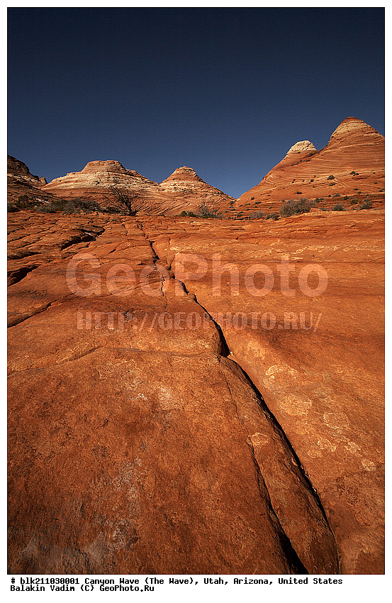 �������, �������, ������ �����, ���, ���, ����������, ������������� � �������, ���������