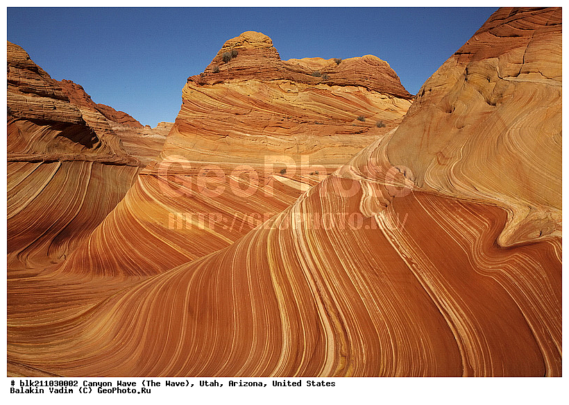 �������, �������, ������ �����, ���, ���, ����������, ������������� � �������, ���������