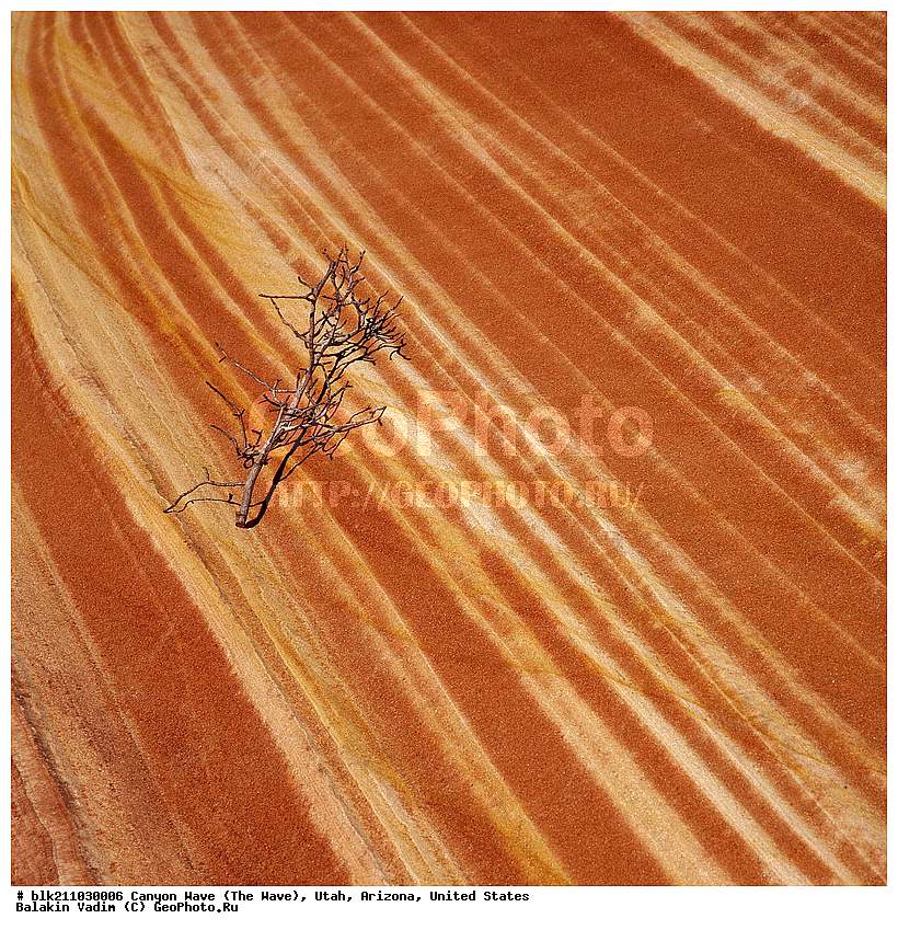 �������, �������, ������ �����, ���, ���, ����������, ������������� � �������, ���������