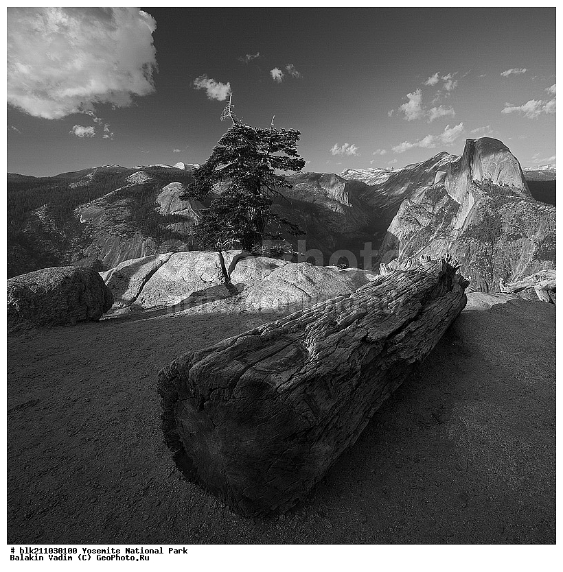 �������, ��������, ����������, ������������ ����, ���, �������� �������, �������, ����