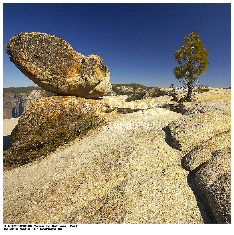 �������, ��������, ����������, ������������ ����, ���, �������� �������, �������, ����