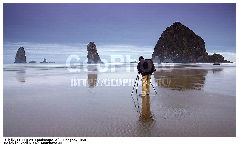 ������, ������, ���, �����, �����, �����, �����, ��������