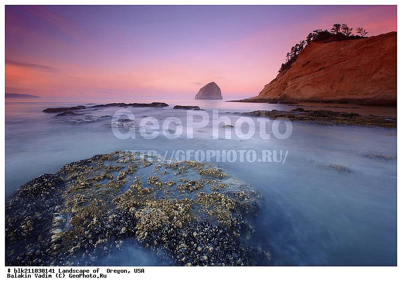 ������, ������, ���, �����, �����, ����, �����, �����, ������, ������, �������, �������, �����