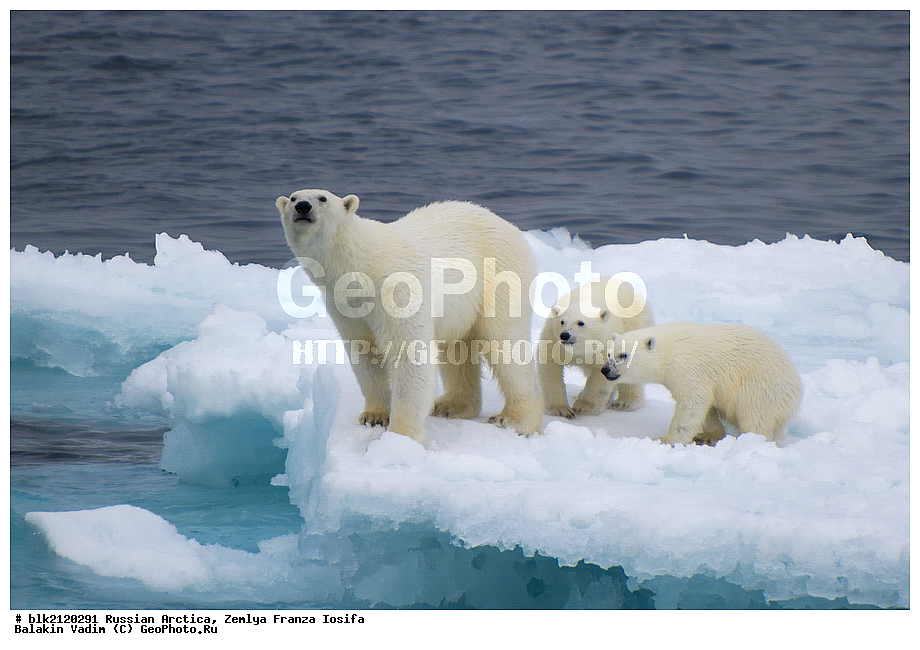 ������, �������, ����� ������-������, ��������� ����, ������� ������, ��������� �����, �����, ������������� �������