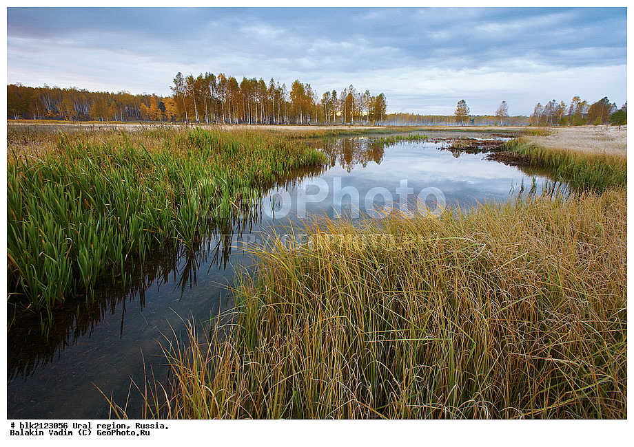 ������, ������� ����, ������