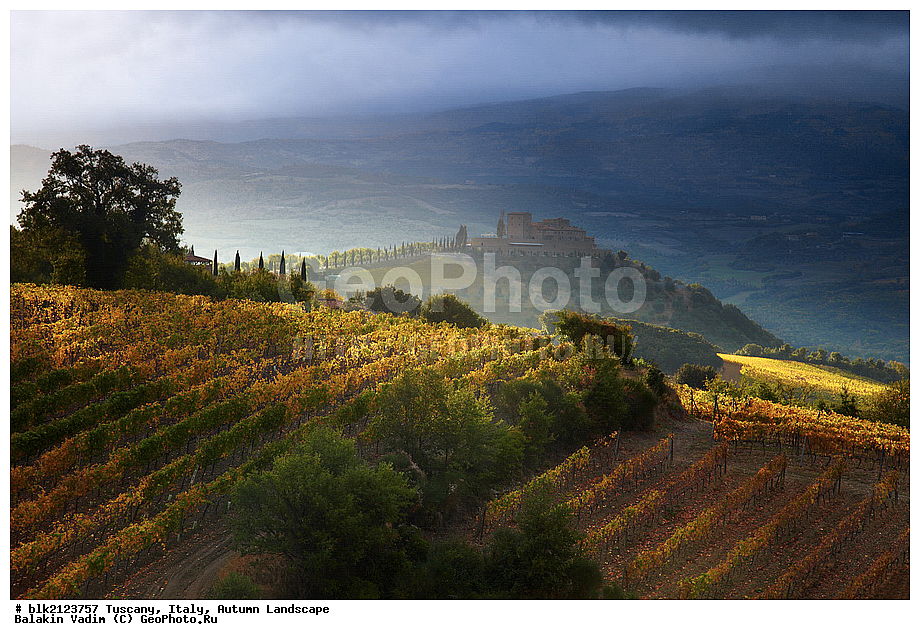 �������, ������, �����, ������  �����, ������, �������������, ���������, �����������, ������� �����, �����������