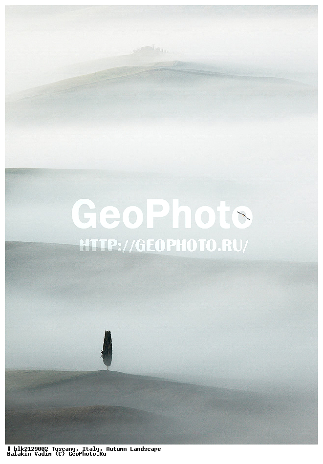 �������, ������, �����, ������  �����, ������, �������������, ���������, �����������, ������� �����, �����, ����, ������, ������ ���� �"����