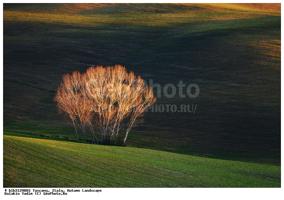 �������, ������, �����, ������  �����, ������, �������������, ���������, �����������, ������� �����