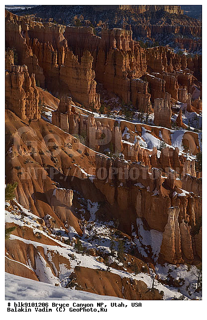 �������, �����, ���, ������, ����, ������, ������������ ����, ���������, �������, ����, �����