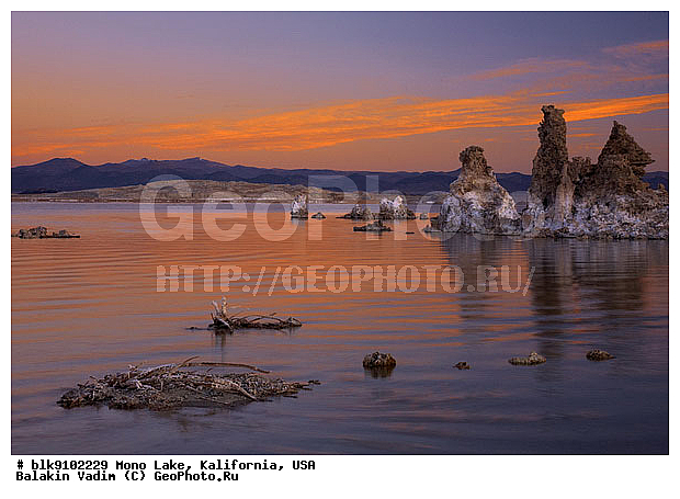 ����������, ����� ����, ���, ���������, ������������ ����, ������� �����, ����