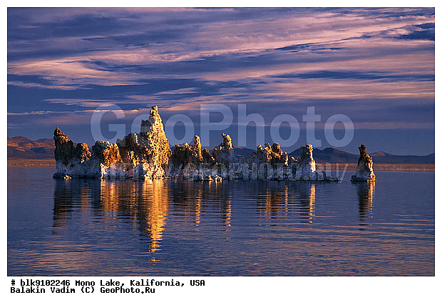 ����������, ����� ����, ���, ���������, ������������ ����, ������� �����, ����