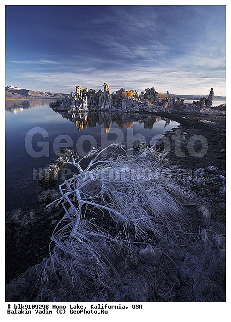 ����������, ����� ����, ���, ���������, ������������ ����, ������� �����, ����